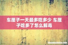 车厘子一天最多吃多少 车厘子吃多了怎么解毒