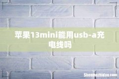 苹果13mini能用usb-a充电线吗