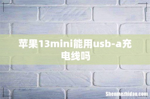 苹果13mini能用usb-a充电线吗
