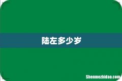 陆左多少岁