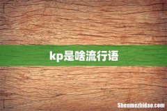 kp是啥流行语