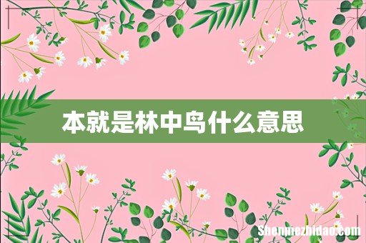 本就是林中鸟什么意思