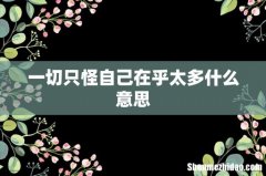 一切只怪自己在乎太多什么意思