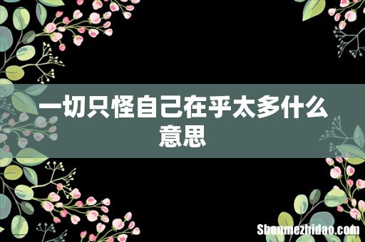一切只怪自己在乎太多什么意思