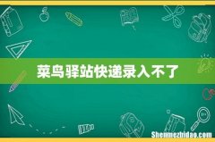 菜鸟驿站快递录入不了