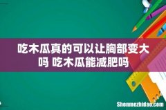 吃木瓜真的可以让胸部变大吗 吃木瓜能减肥吗