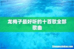 龙梅子最好听的十首歌全部歌曲
