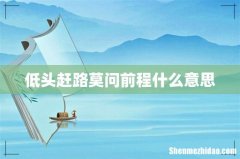 低头赶路莫问前程什么意思