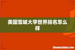 美国雪城大学世界排名怎么样