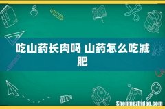 吃山药长肉吗 山药怎么吃减肥