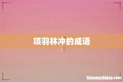 项羽林冲的成语