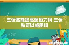 三伏贴能提高免疫力吗 三伏贴可以减肥吗