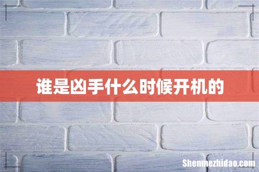 谁是凶手什么时候开机的