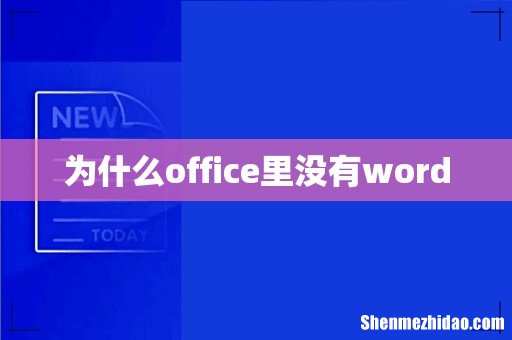 为什么office里没有word