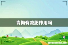 青梅有减肥作用吗