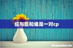 应与臣和谁是一对cp