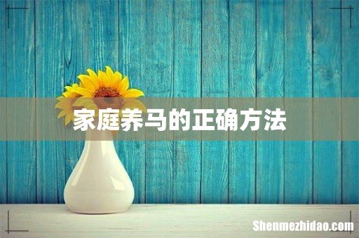 家庭养马的正确方法
