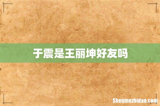 于震是王丽坤好友吗