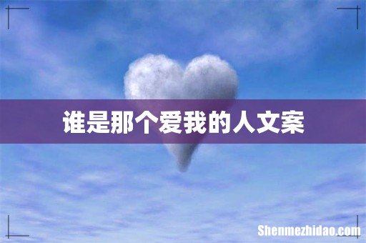 谁是那个爱我的人文案