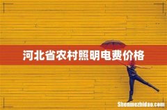 河北省农村照明电费价格