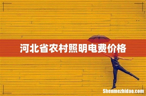 河北省农村照明电费价格