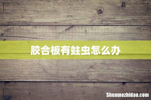 胶合板有蛀虫怎么办