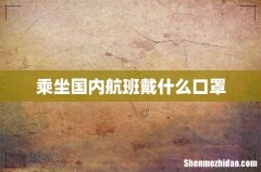 乘坐国内航班戴什么口罩
