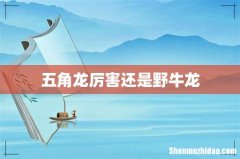 五角龙厉害还是野牛龙