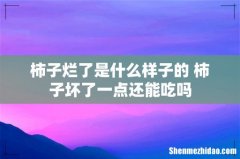 柿子烂了是什么样子的 柿子坏了一点还能吃吗
