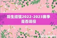 羽生结弦2022-2023赛季是否现役