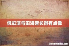 倪虹洁与田海蓉长得有点像