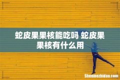 蛇皮果果核能吃吗 蛇皮果果核有什么用