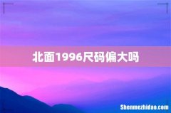 北面1996尺码偏大吗