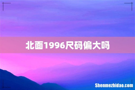 北面1996尺码偏大吗