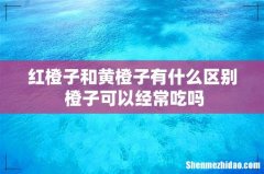 红橙子和黄橙子有什么区别 橙子可以经常吃吗