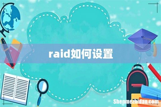 raid如何设置