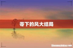 零下的风大结局