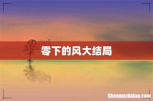零下的风大结局
