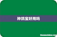 种鸽宝好用吗