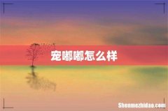 宠嘟嘟怎么样
