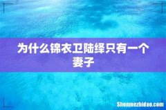 为什么锦衣卫陆绎只有一个妻子