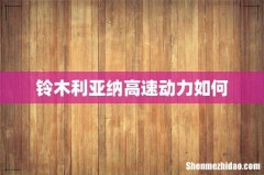 铃木利亚纳高速动力如何