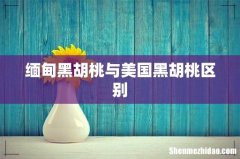 缅甸黑胡桃与美国黑胡桃区别