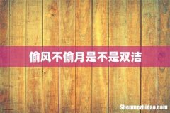 偷风不偷月是不是双洁