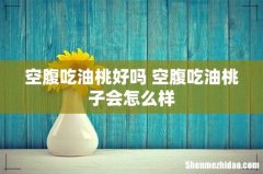 空腹吃油桃好吗 空腹吃油桃子会怎么样