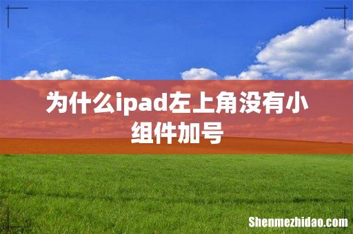 为什么ipad左上角没有小组件加号
