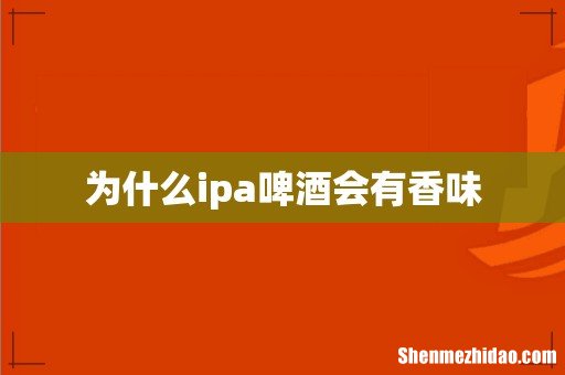 为什么ipa啤酒会有香味