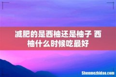减肥的是西柚还是柚子 西柚什么时候吃最好