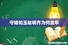 守婚如玉赵明齐为何坐牢