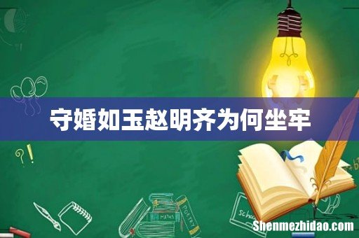 守婚如玉赵明齐为何坐牢